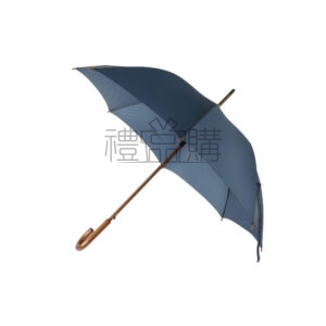 11080_Umbrella_1