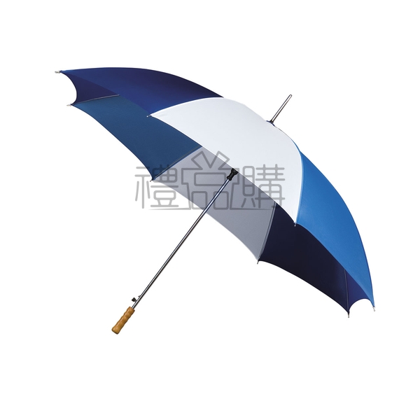 11082_Umbrella_2