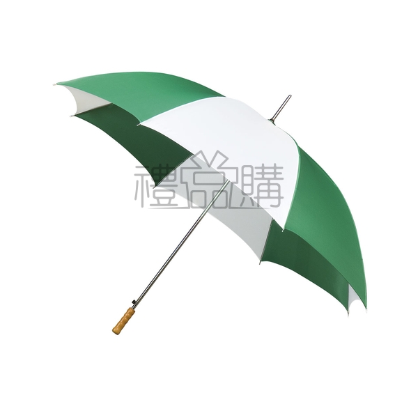11082_Umbrella_3