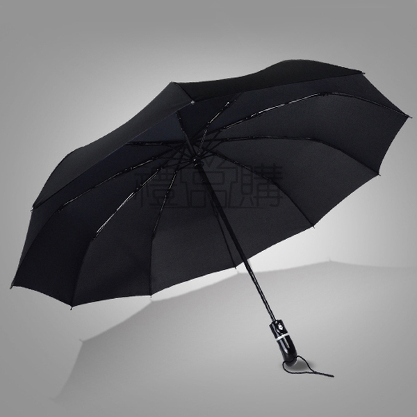 16528_Folding_Umbrella_01