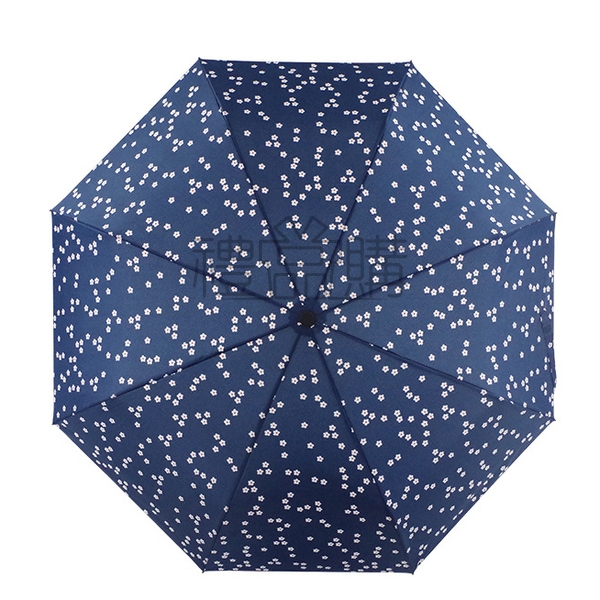 17184_Folding-Umbrella_2