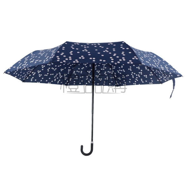 17184_Folding-Umbrella_6