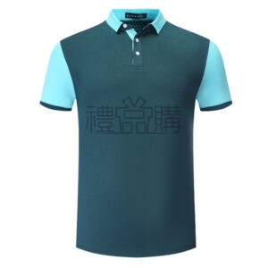 17579_Assorted-Color-Design-Polo-Shirt_1