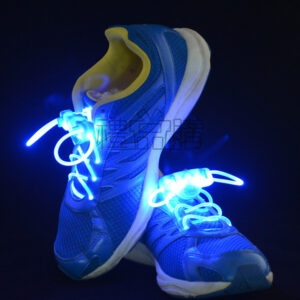 18202_Shiny shoelaces_1