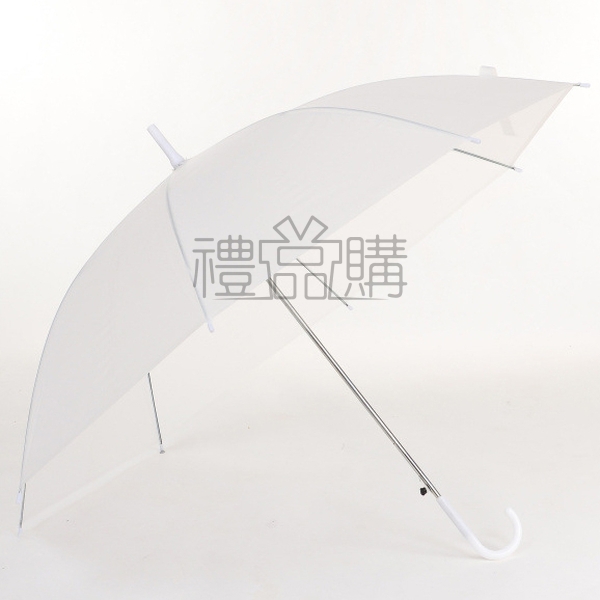 18349_Matte-Translucent-Umbrella_2