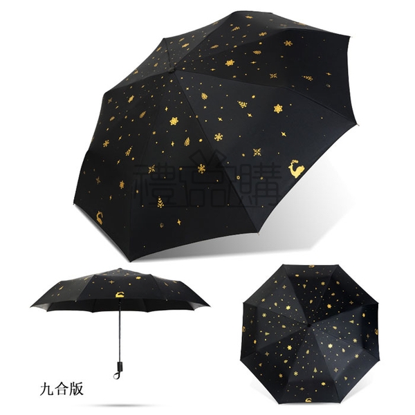 20186_Umbrella_08