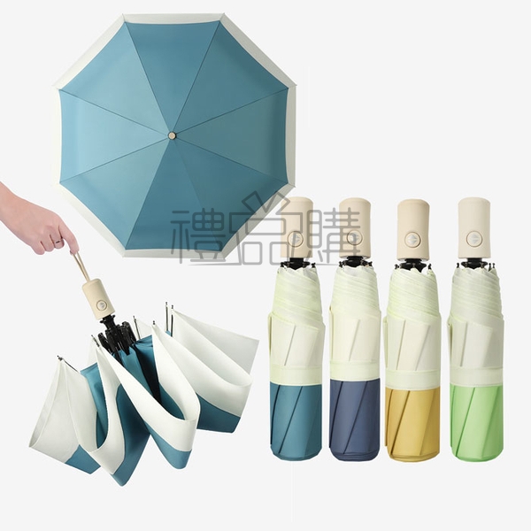 23900_Folding_Umbrella_01