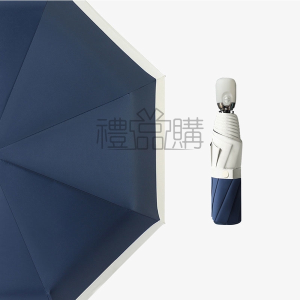 23902_Folding_Umbrella_03