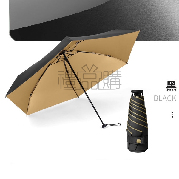 24225_Folding_Umbrella_02