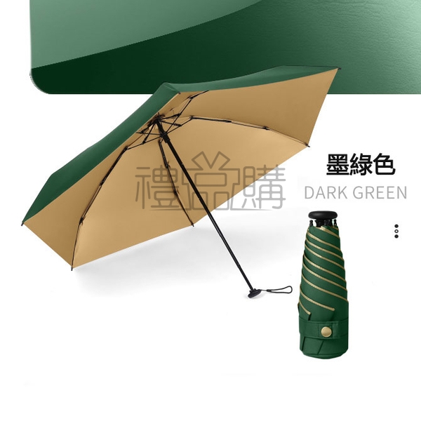 24225_Folding_Umbrella_03