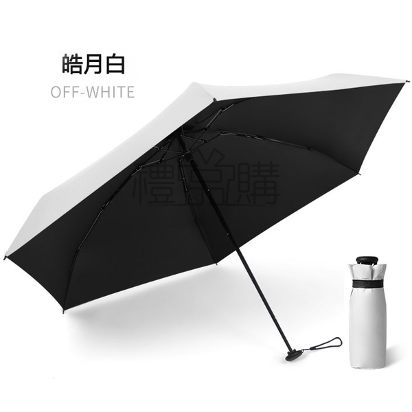 24225_Folding_Umbrella_11