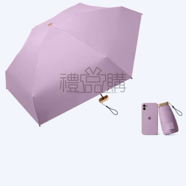 24498_umbrella_10