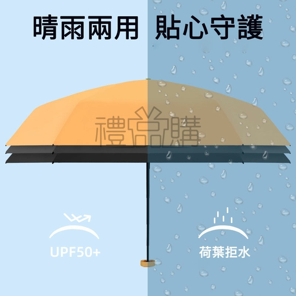 25493_Umbrella_04