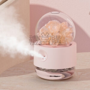 25703_humidifier_01